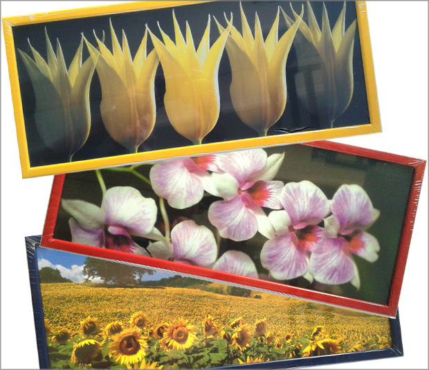 Serija od 10 okvira 20x49 cm sa slikama cvijeća