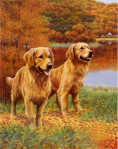 Uljna slika: Psi - 40x50 cm