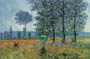 Poster na platnu: Monet: Felder im fruhling - 120x90 cm