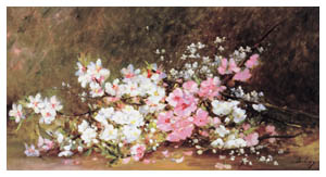 Poster: Boulanger: Apple Blossoms - 48x28 cm
