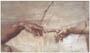 Poster: Michelangelo: Creazione-Dettaglio - 80x56 cm