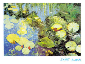 Poster: Saint Alban: Nymphéas à Giverny - 80x60 cm