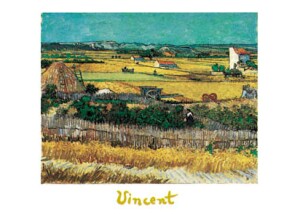 Poster: Van Gogh: Campi - 70x50 cm