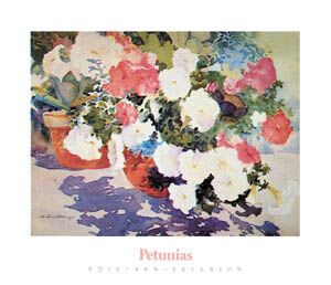 Poster: Peterson: Petunias - 76x65 cm