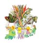 Poster: Aviram: Exotic Flowers - 68x66 cm