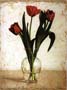 Poster: Darashkevich: Tulipani in vaso - 60x80 cm