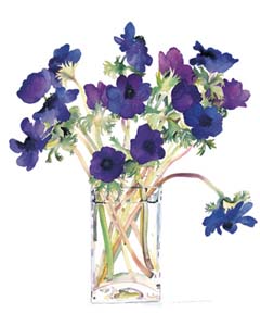 Poster: Winteringham: Purple Anemones - 40x50 cm