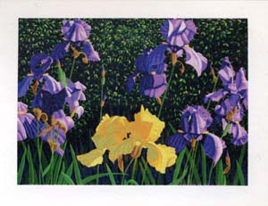 Poster: Mortensen: Iris - cm 100x70