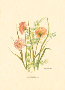 Štampa: Rezano cvijeće - 25x35 cm