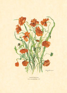 Štampa: Rezano cvijeće - 50x70 cm