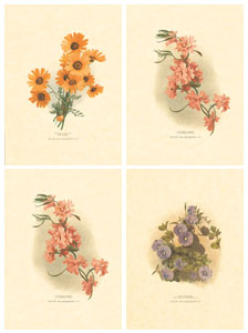 Serija od 4 štampe: Orijentalno cvijeće - 13x18 cm