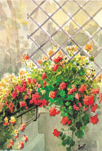Štampa: Jany: Balkon sa cvijećem - 35x50 cm