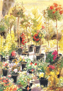 Štampa: Jany: Vaze u vrtu - 50x70 cm